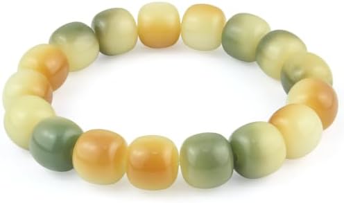 Smooth 12 mm bodhi root barrel beads strung on an elastic core, sized for a 6.69 inch wrist.