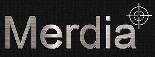 Merdia Workshop